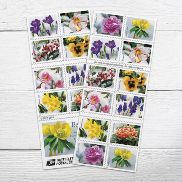 All Time Low (Price): $1200 Get 10000 Forever Stamps, More Than 100 Styles to Choose