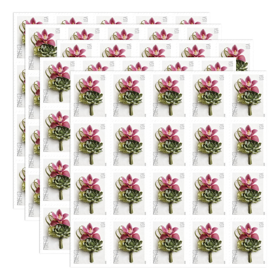 $489 Get 3000 Forever Stamps, 100+ Styles Available