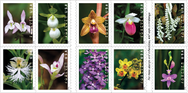 Forever Stamps 2020 Wild Orchids – Nature Series, First-Class Postage